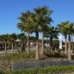 algarve-vale-do-lobo-resort-1920x880